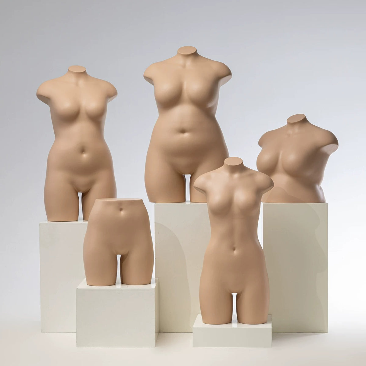Aesthetic Torso View 3