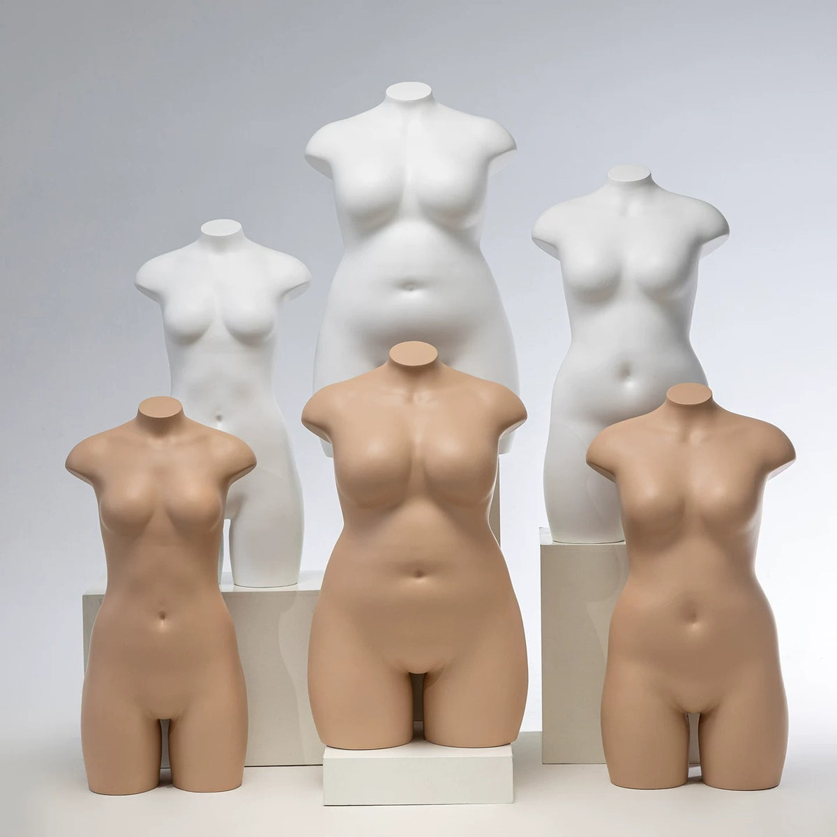 Aesthetic Torso View 2