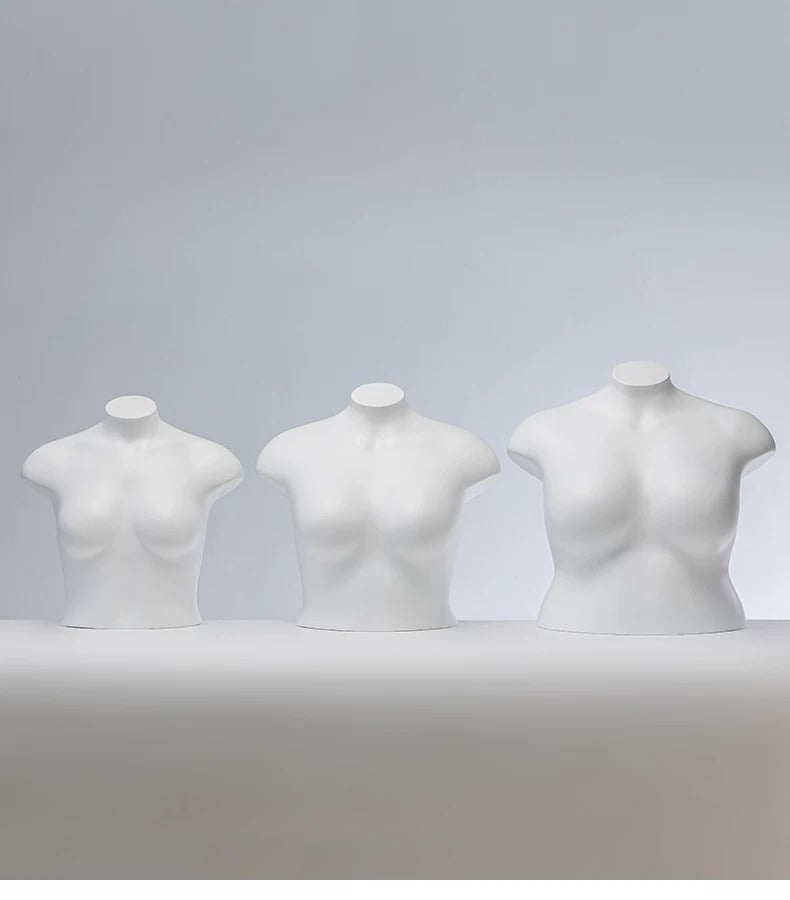 Aesthetic Torso Perspective