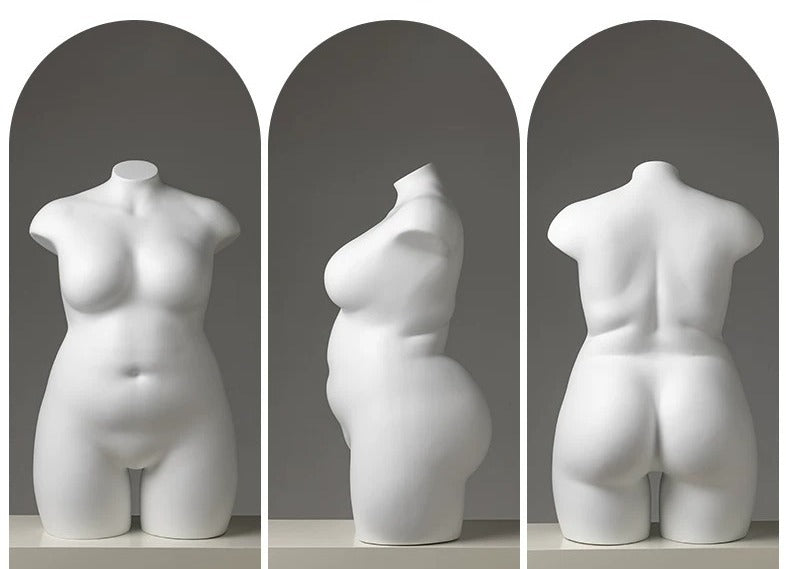 Aesthetic Torso View 6