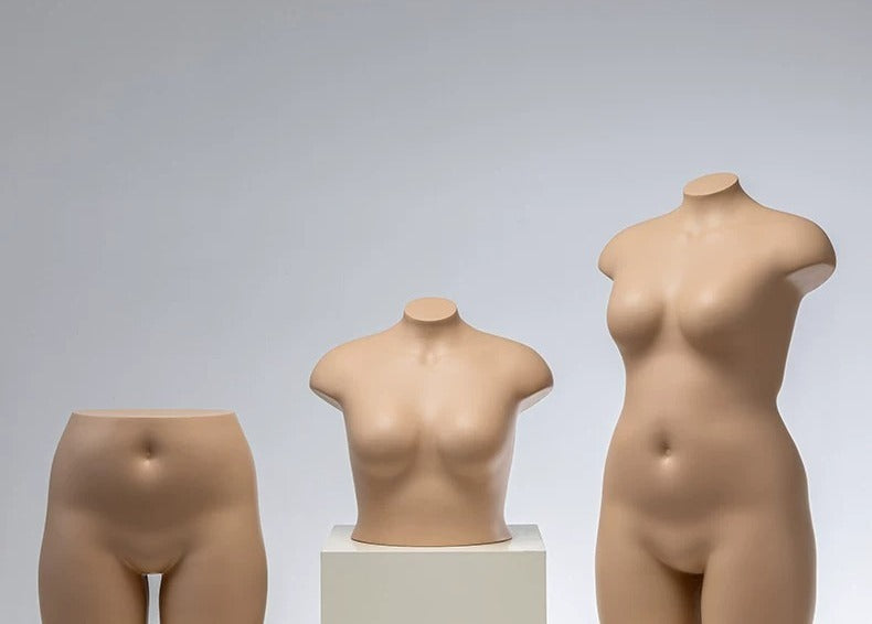 Aesthetic Torso Colors