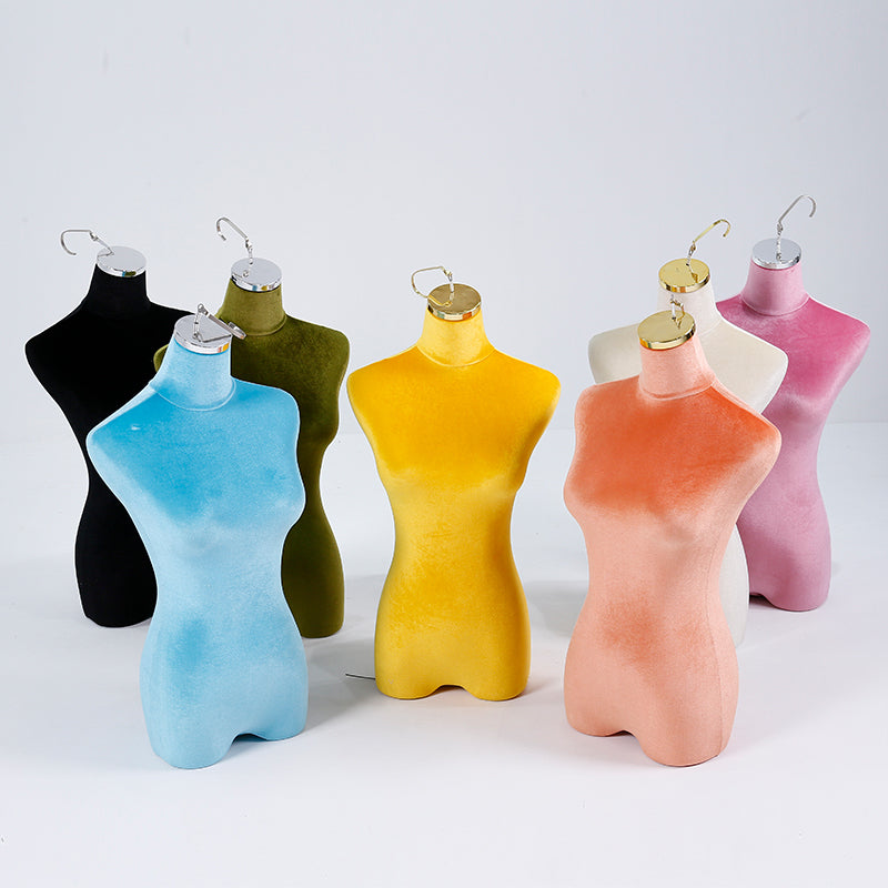Torso View 3