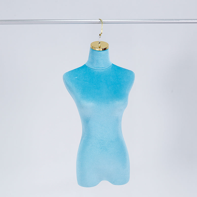 Torso View 5
