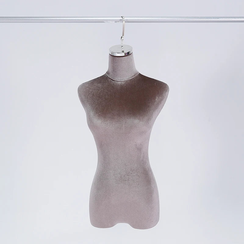 Torso Display Setup